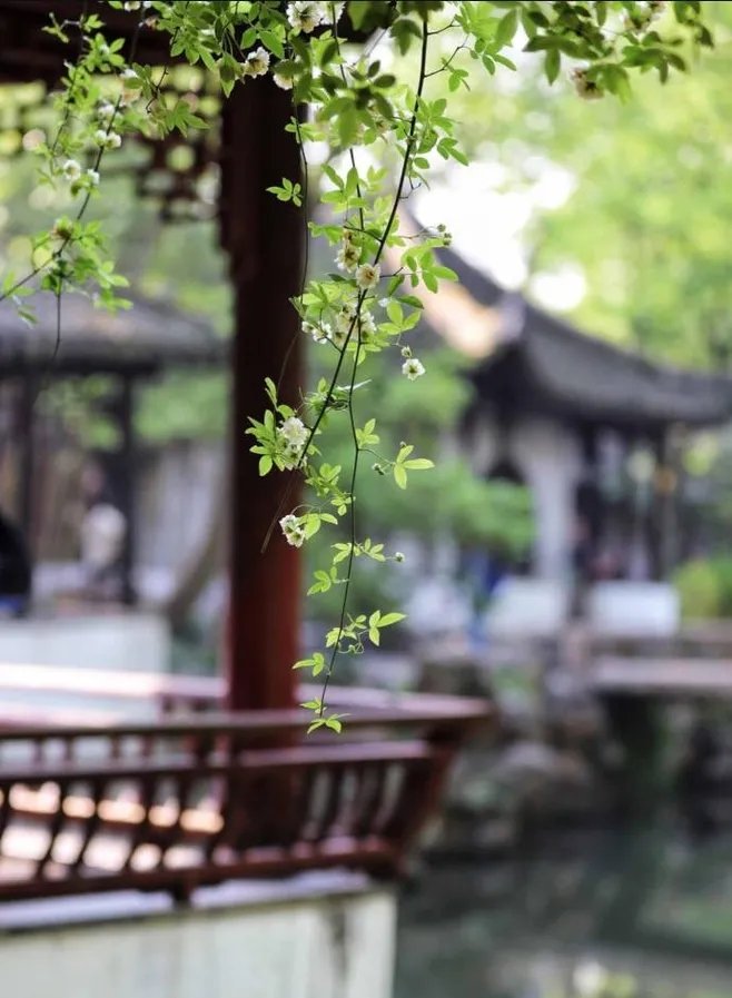 初春最美的十首诗词,春日美景最经典诗词