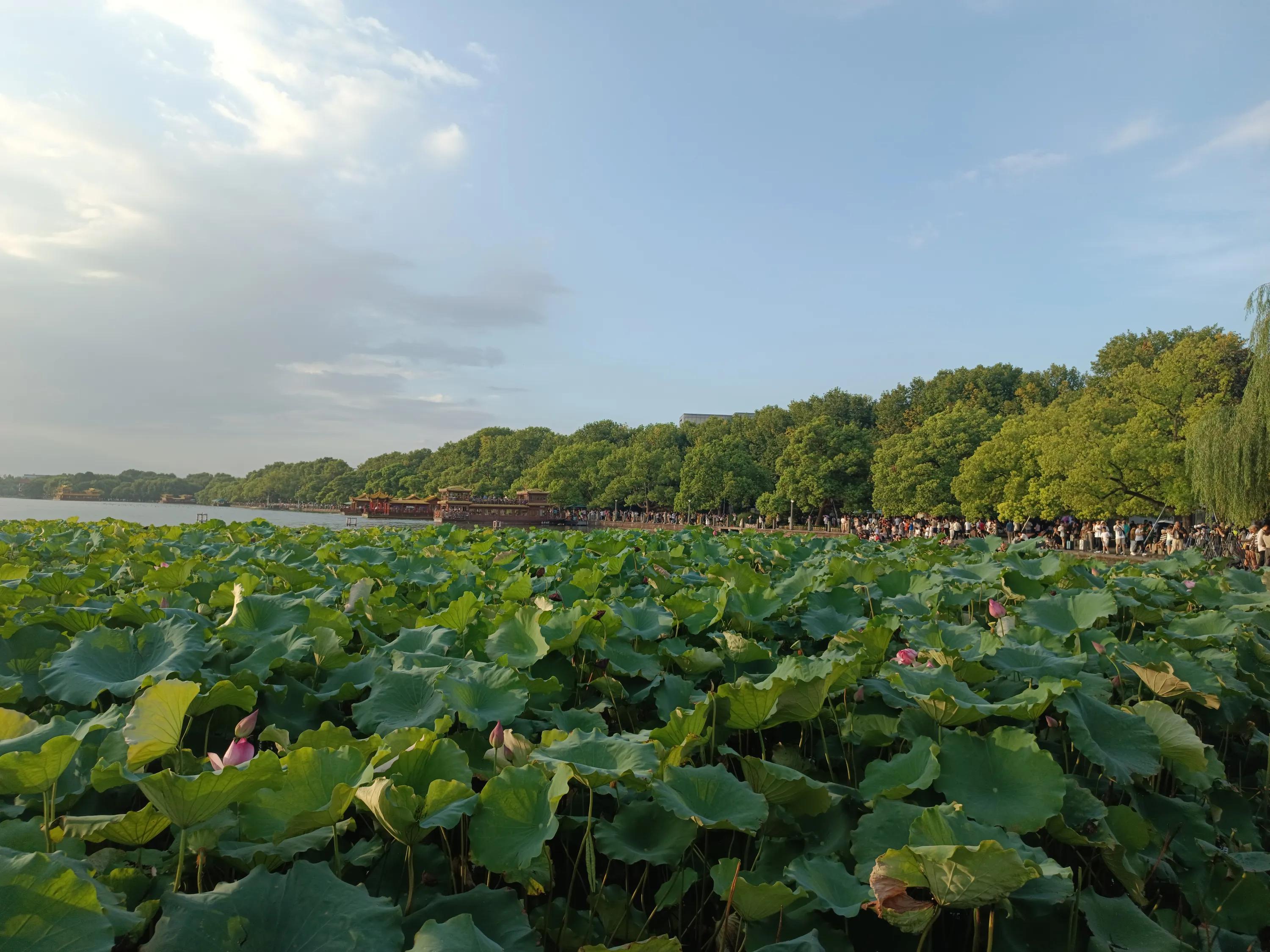 广州出差一日游,广州出差旅游