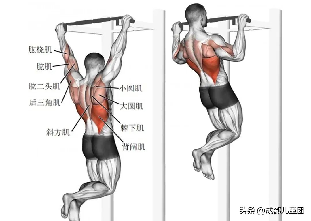 往届选手线上日常练习实时排行榜