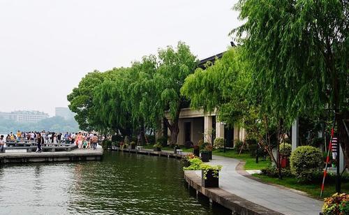 湖滨花园命案,湖滨花园怪事