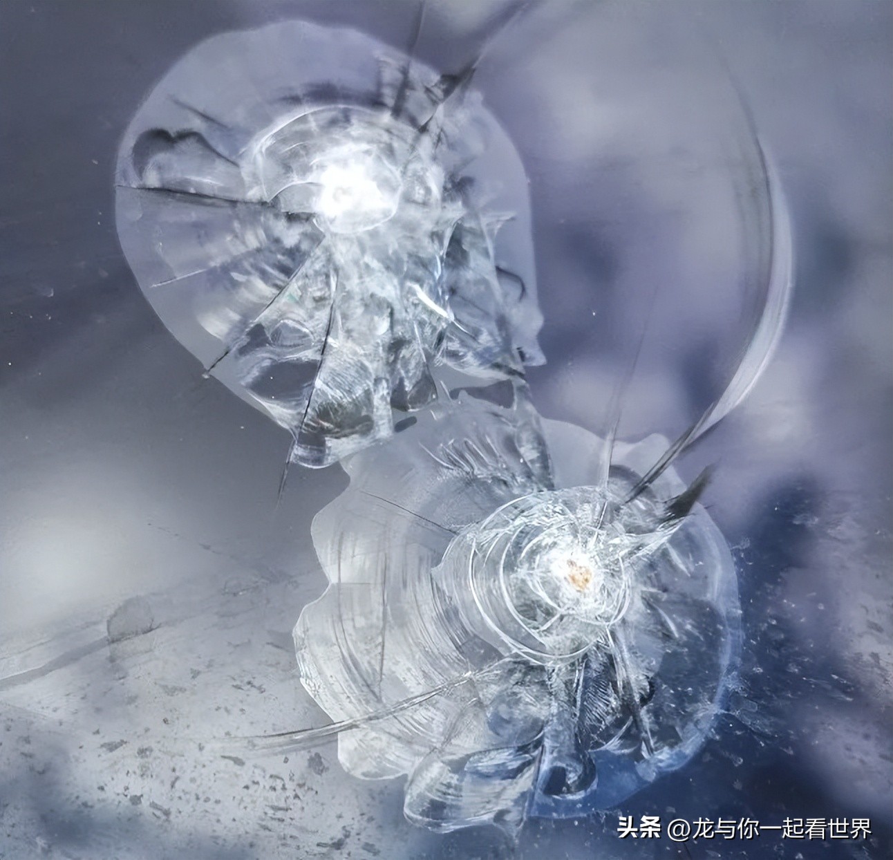 通过这些维护技巧确保您的汽车看起来最好