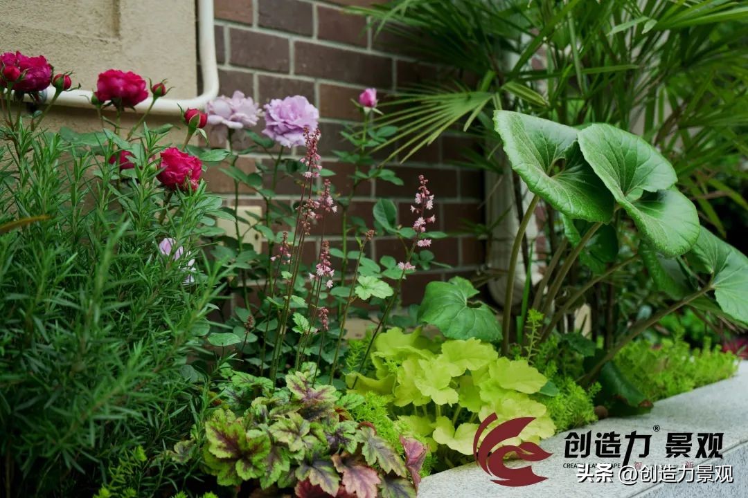 山水华门棕榈湾,山水华门双拼别墅