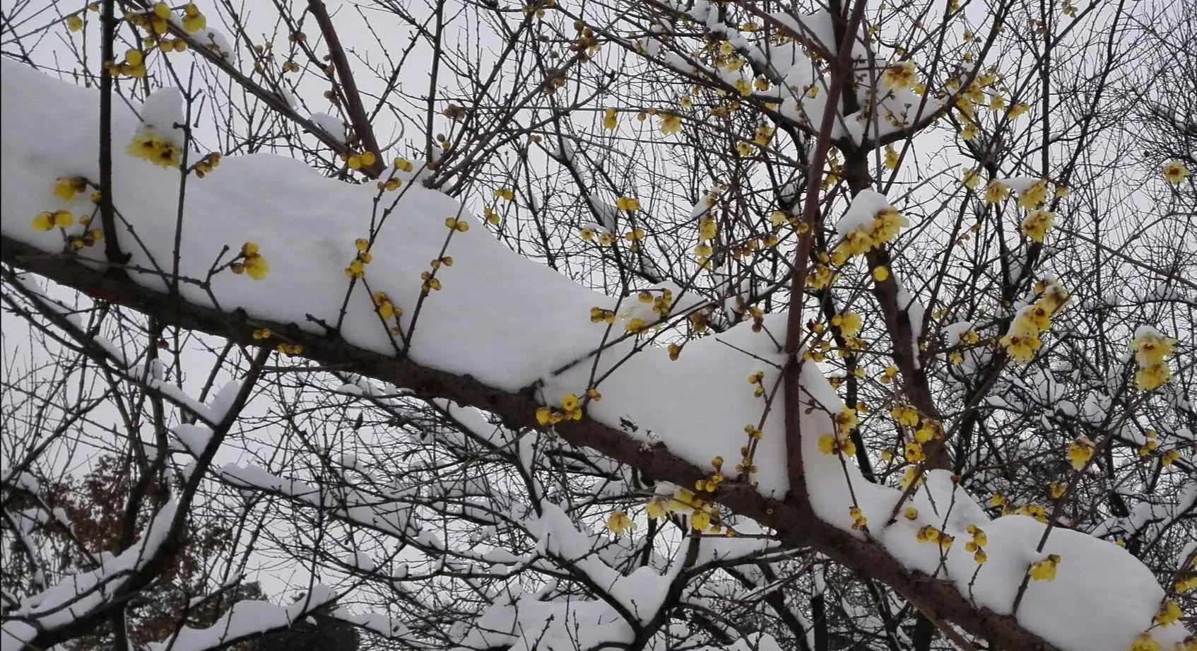 朱昌茂十首经典诗词,朱昌茂的诗句