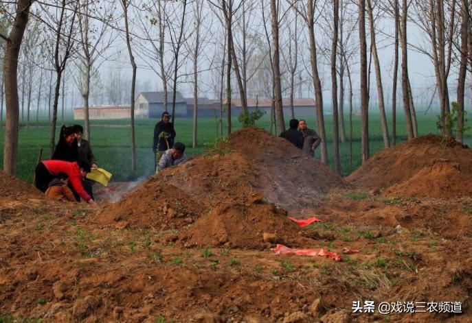 丧葬改革再出新动作,迁坟政策