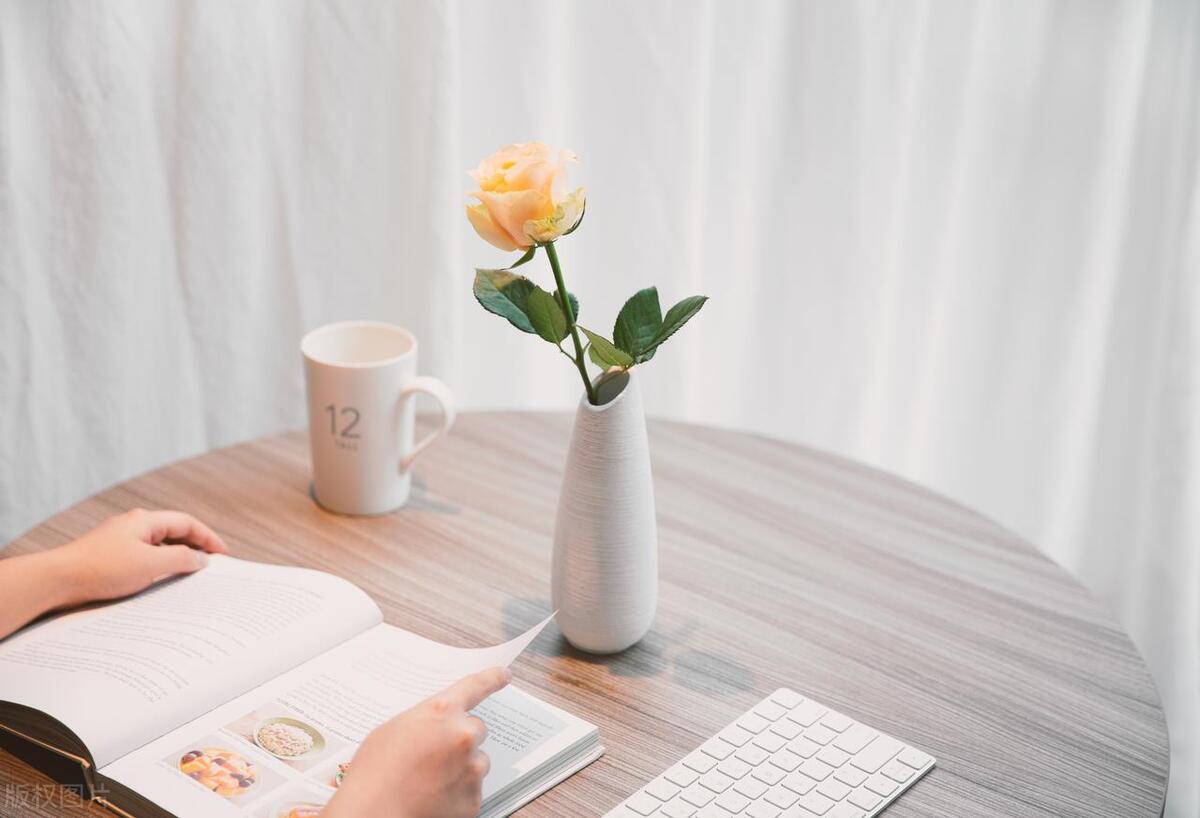 老侯|磊子新书《蝼蚁》阅读笔记