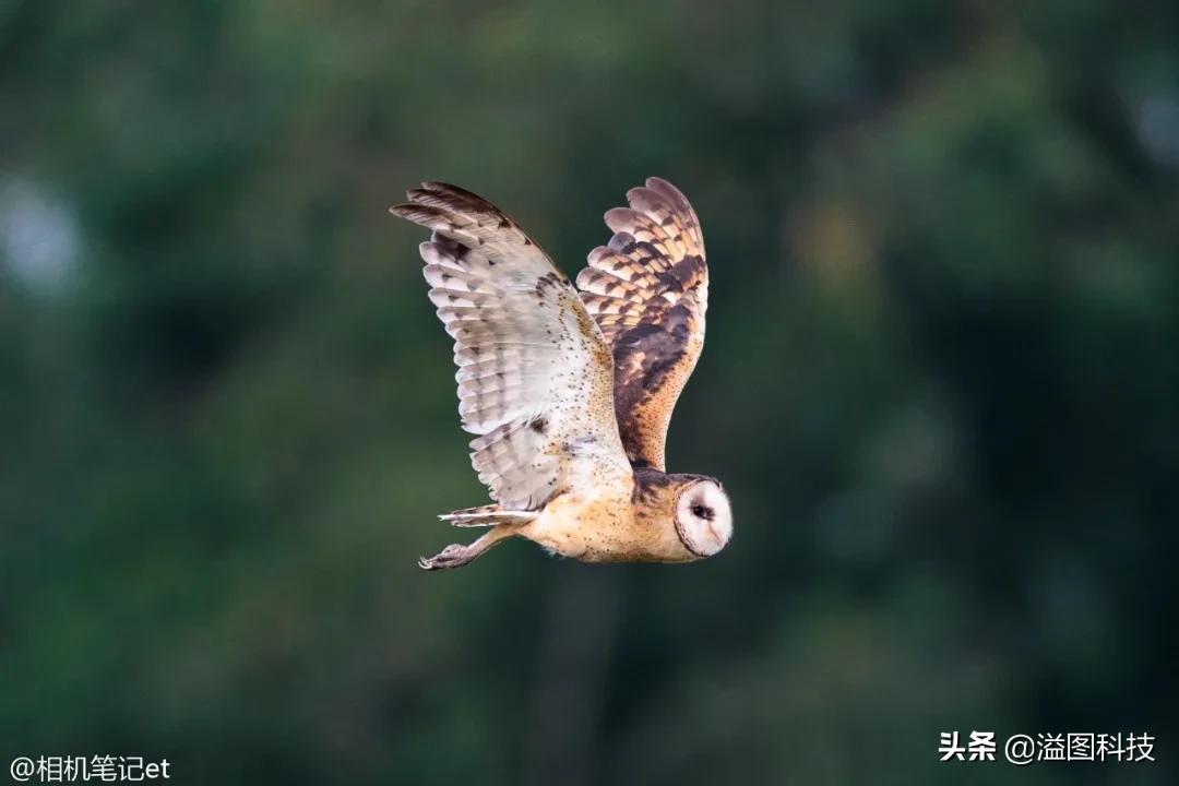 鑱婅亰钄氭潵et9,鑱婅亰钄氭潵et5