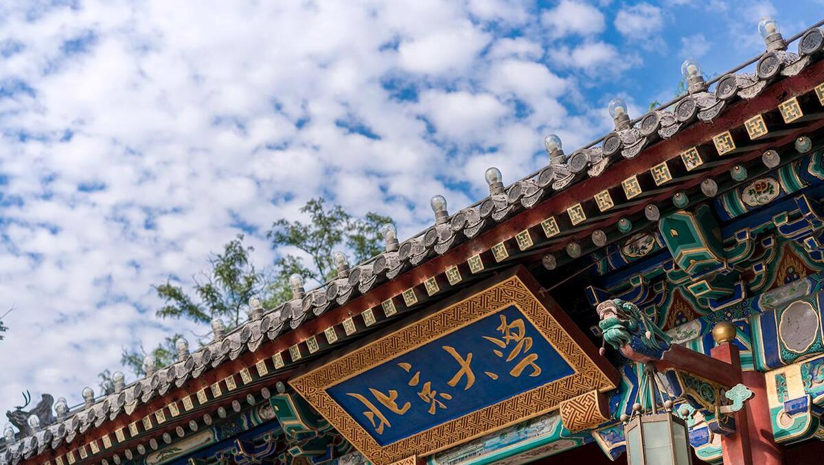 北大医学部一流学科,北大医学部校友