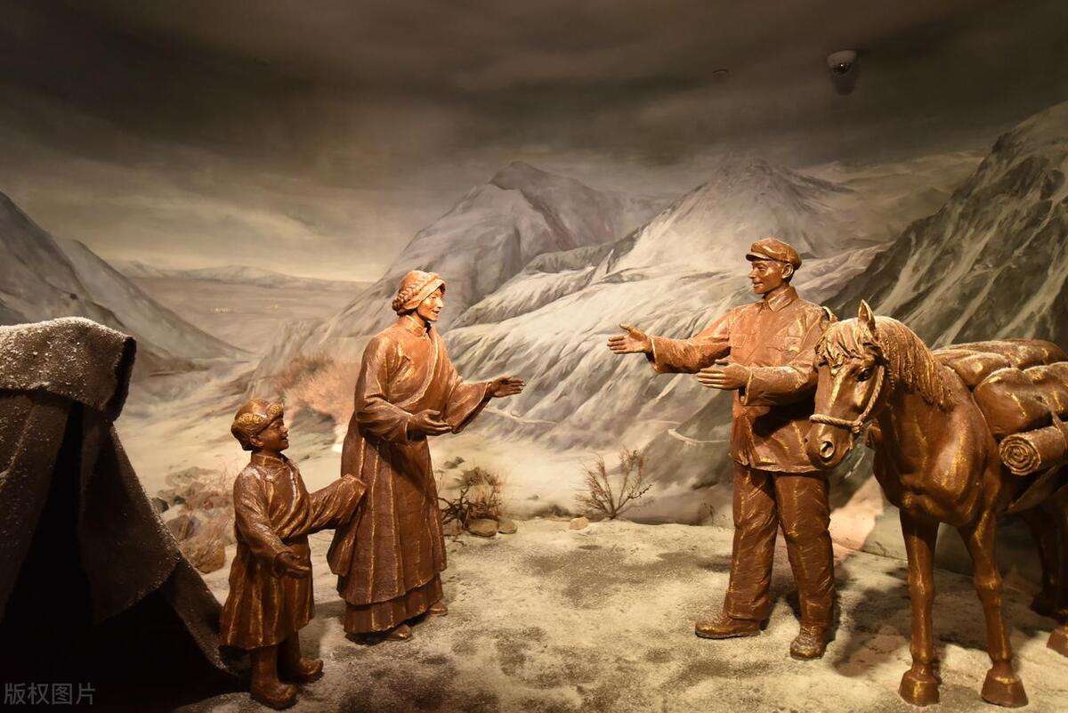 沙棘科普视频,沙棘的八大之最