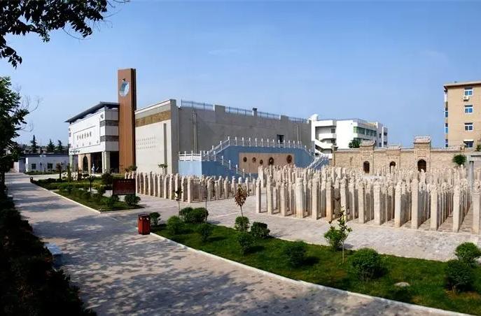 澄城老哥怎么样,澄城老哥由来