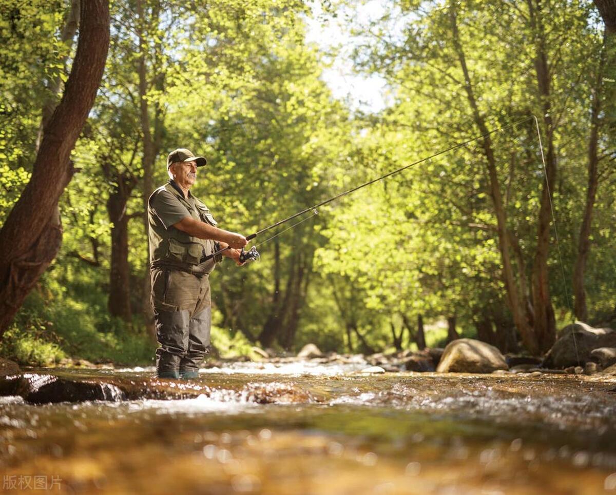 野钓鱼线什么牌子好,野钓鱼线怎么选