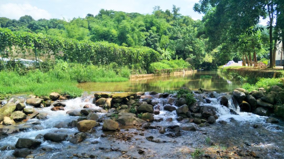 广东温泉宾馆温泉介绍,广东温泉酒店的温泉哪几家是真的