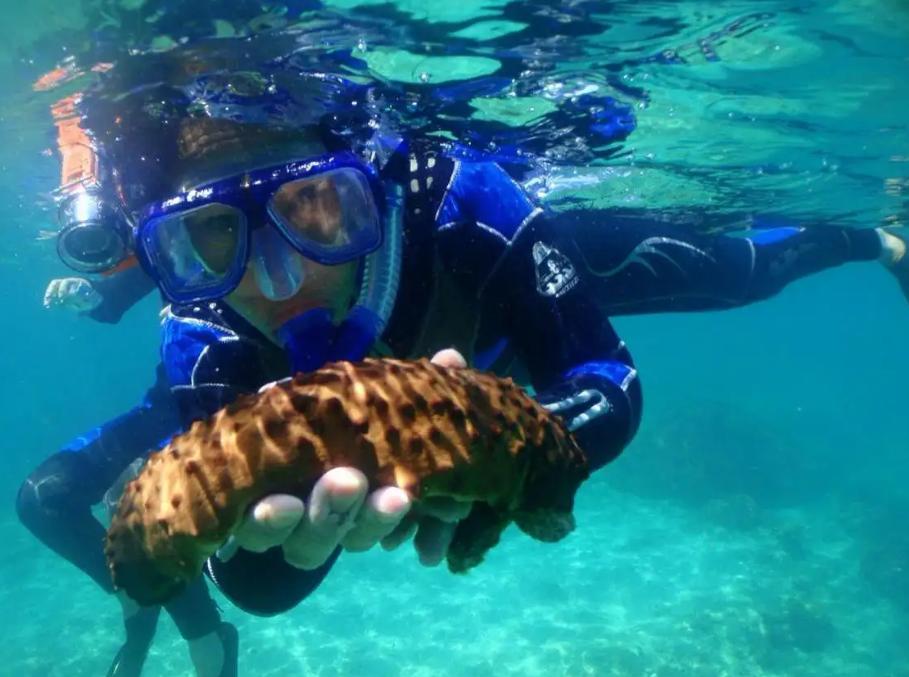 东北小伙一亿买石头,东北小伙花两亿买石头现状