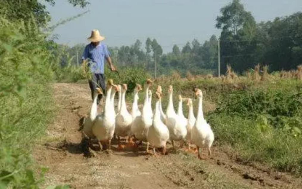 农民被警察抓走了后续,陕西一村民被查处