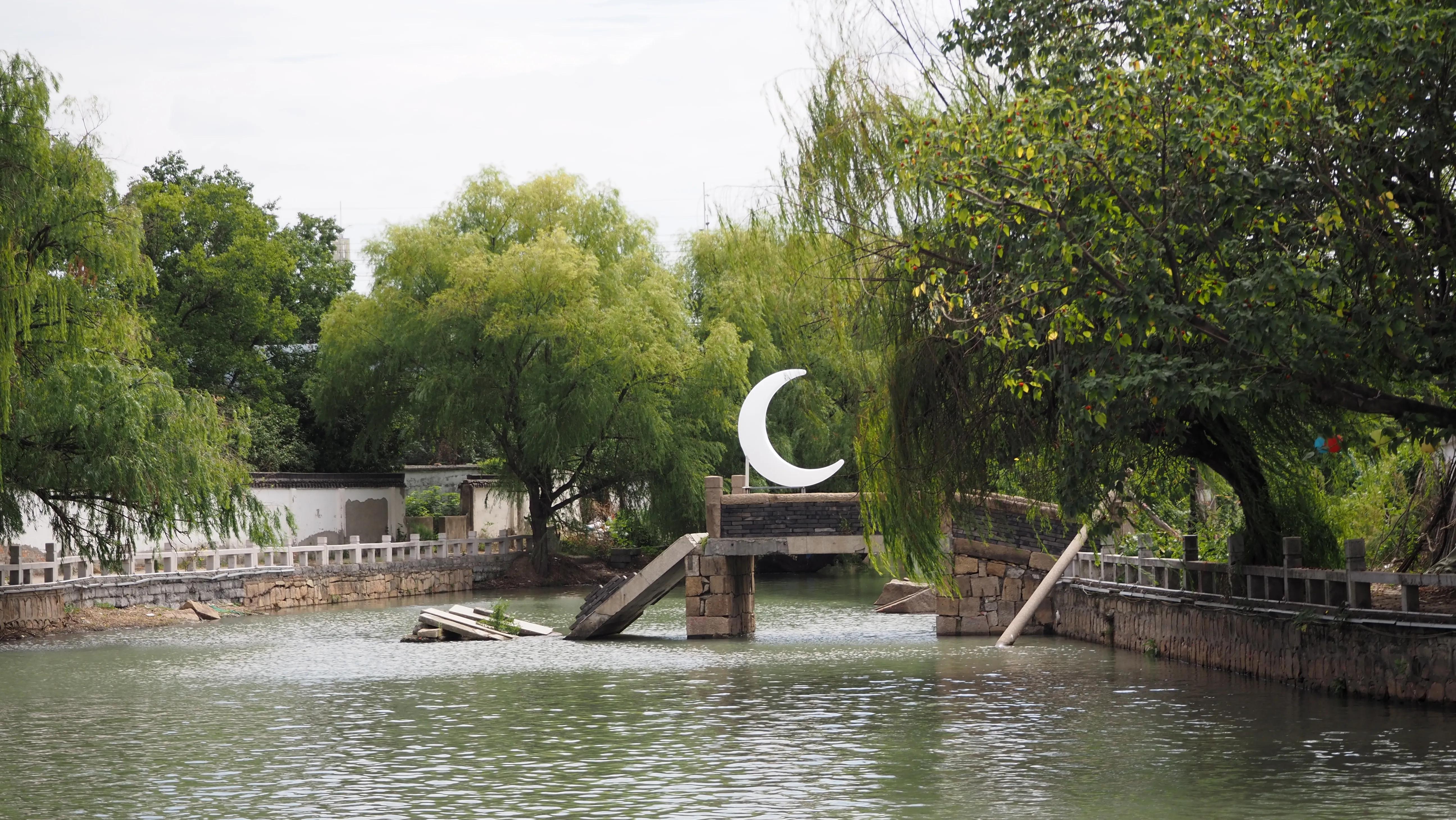 送你一段江南梦（又名:我最爱的苏州旅游线路，爱猫人士必逛）