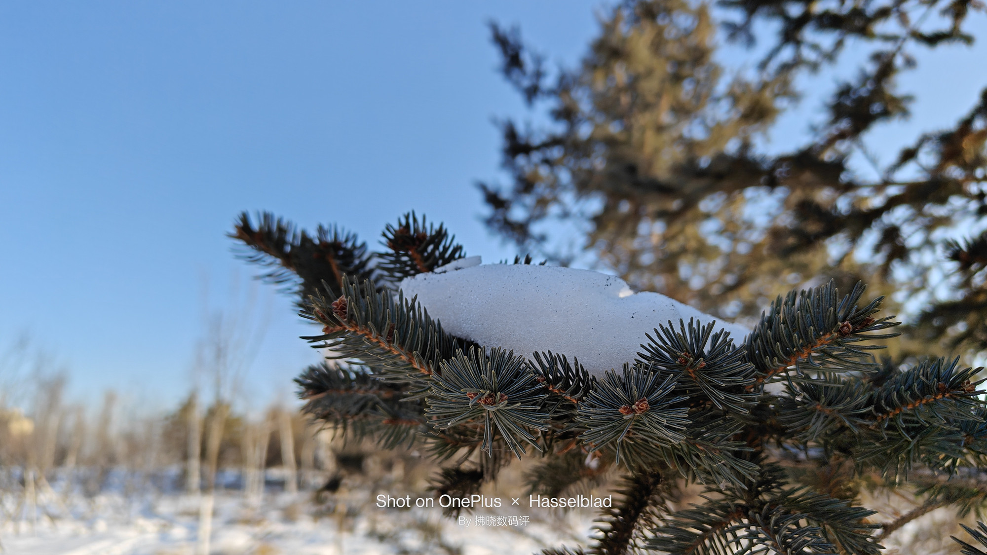 一加11手机全面分析,一加11概念版未来性能探索之作