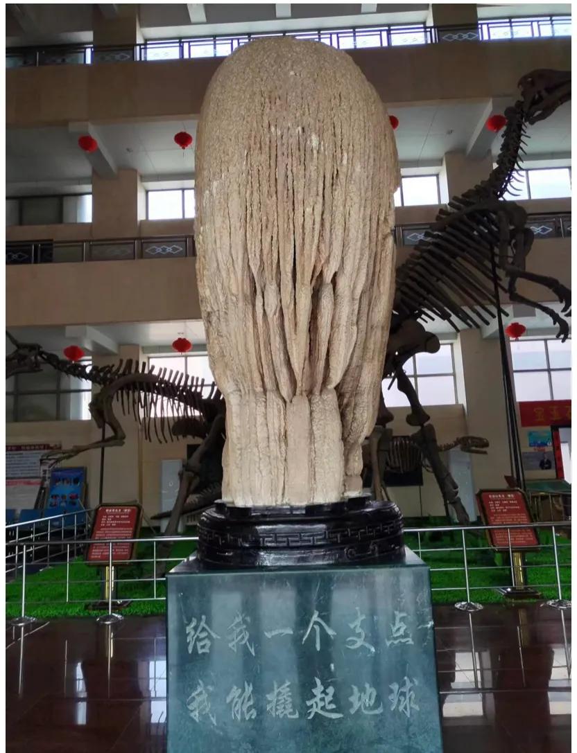 平邑围棋大会,平邑最新围棋视频