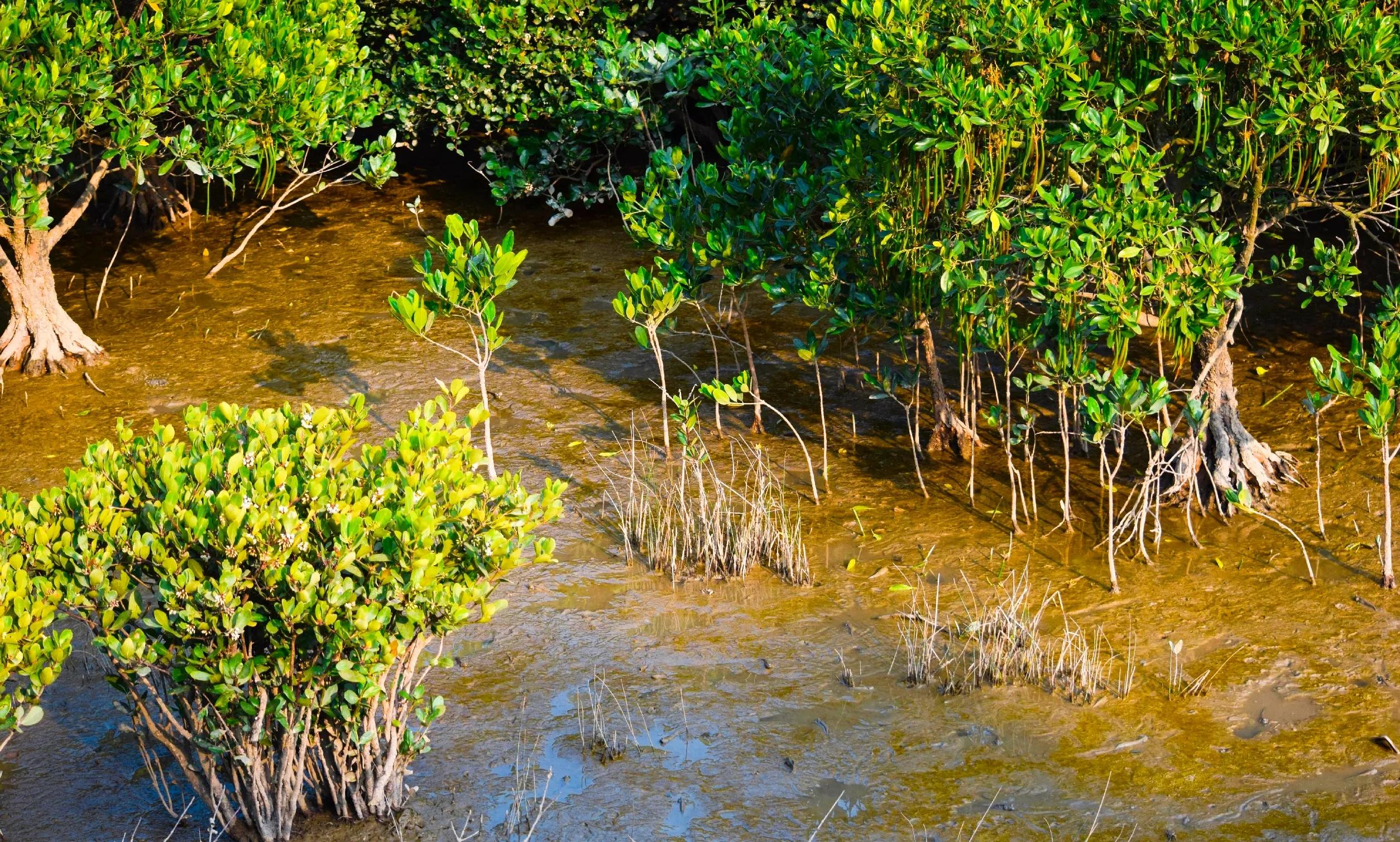 和大自然一起去旅行,和地理老师一起去旅行