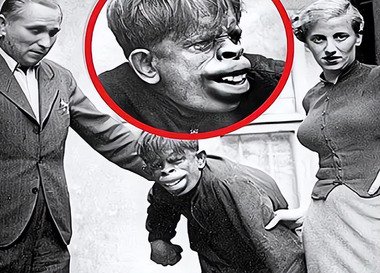 日本人兽杂交实验被允许，这是否违背伦理常纲？是创新还是灾难？