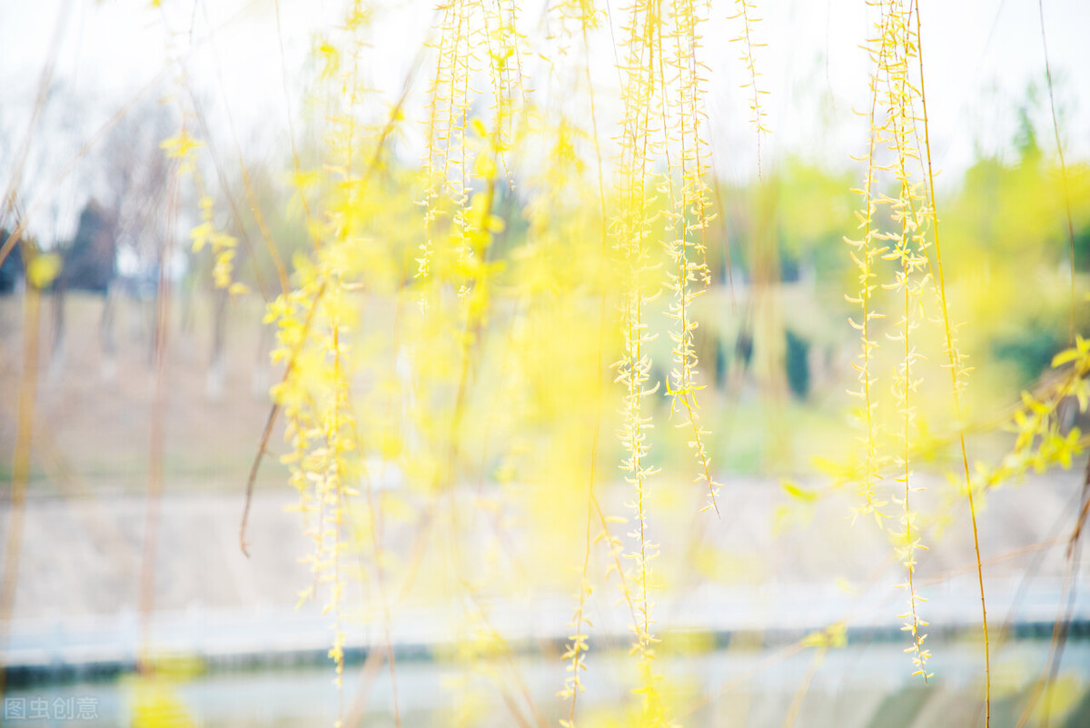 健康一切安好就是最大的福气,其实人这辈子健康才是王道