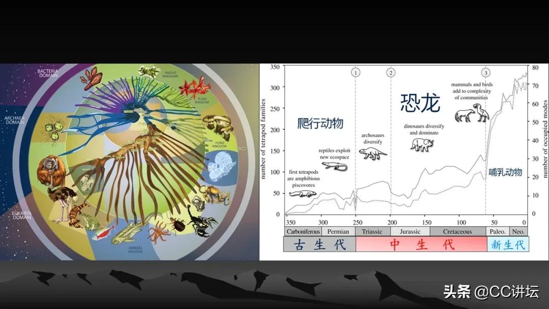 海洋恐龙和陆地恐龙,海洋恐龙与陆地生物对比