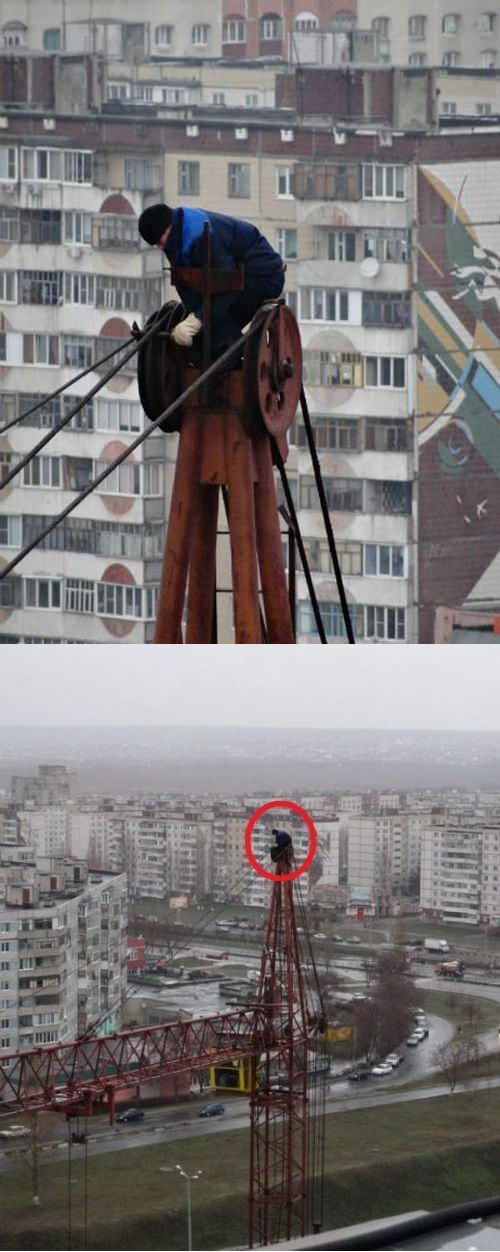 世界上最壮的牛照片,世界最壮的牛图片