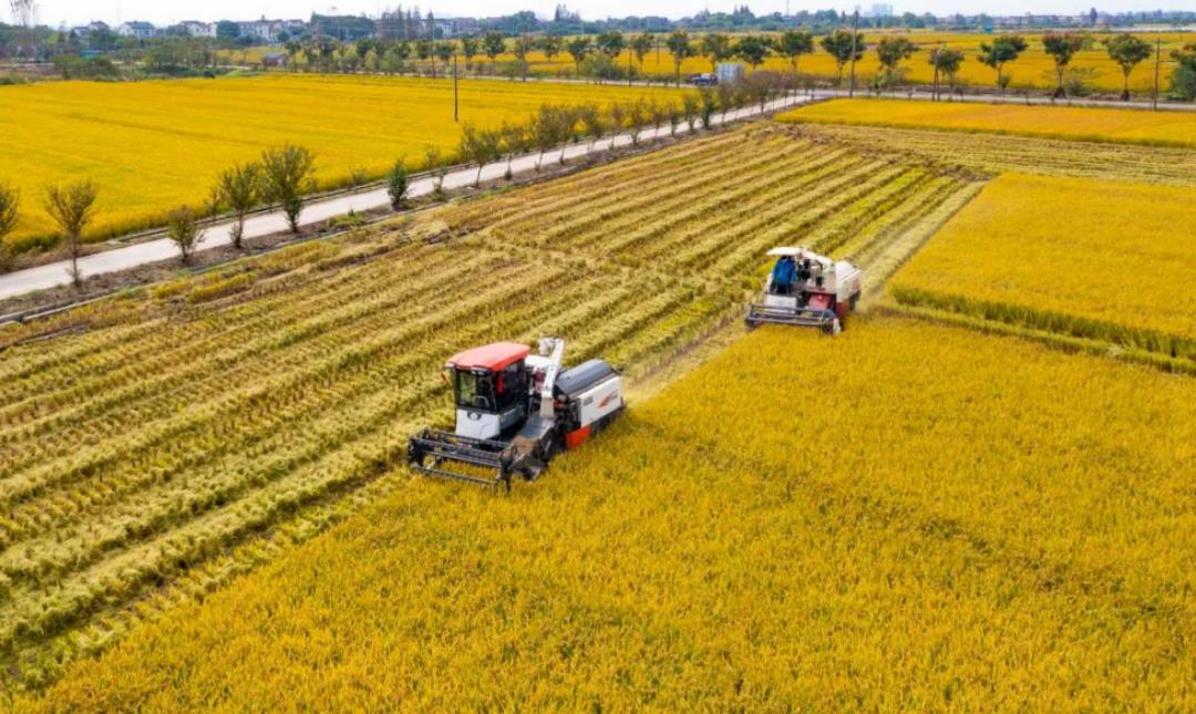 南京都市现代农业探索与发展