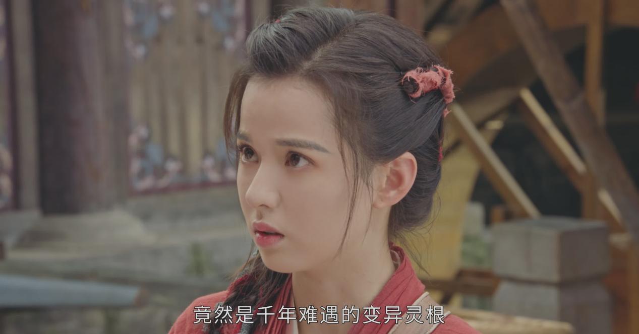 一念花开电视剧在线观看,一念花开电视剧剧情