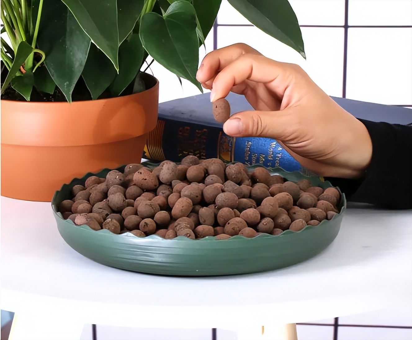 养花时花盆底下的小洞可以堵上吗,花盆下面垫个塑料盆会烂根吗