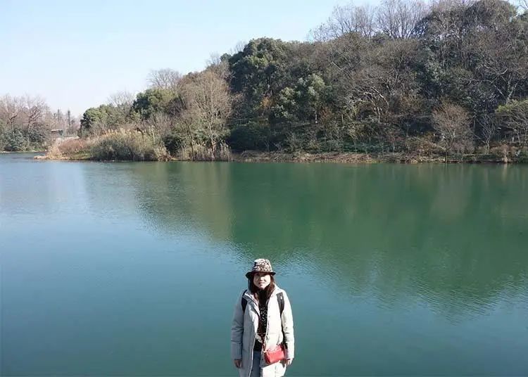 仁山智水山水画,仁山智水书法作品