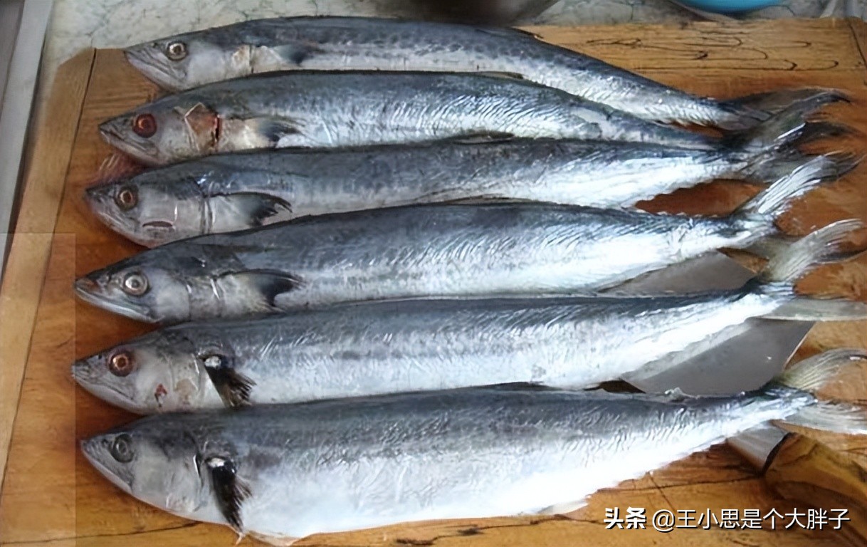 六种野生鱼不能人工养殖,市场上这6种鱼放心购买