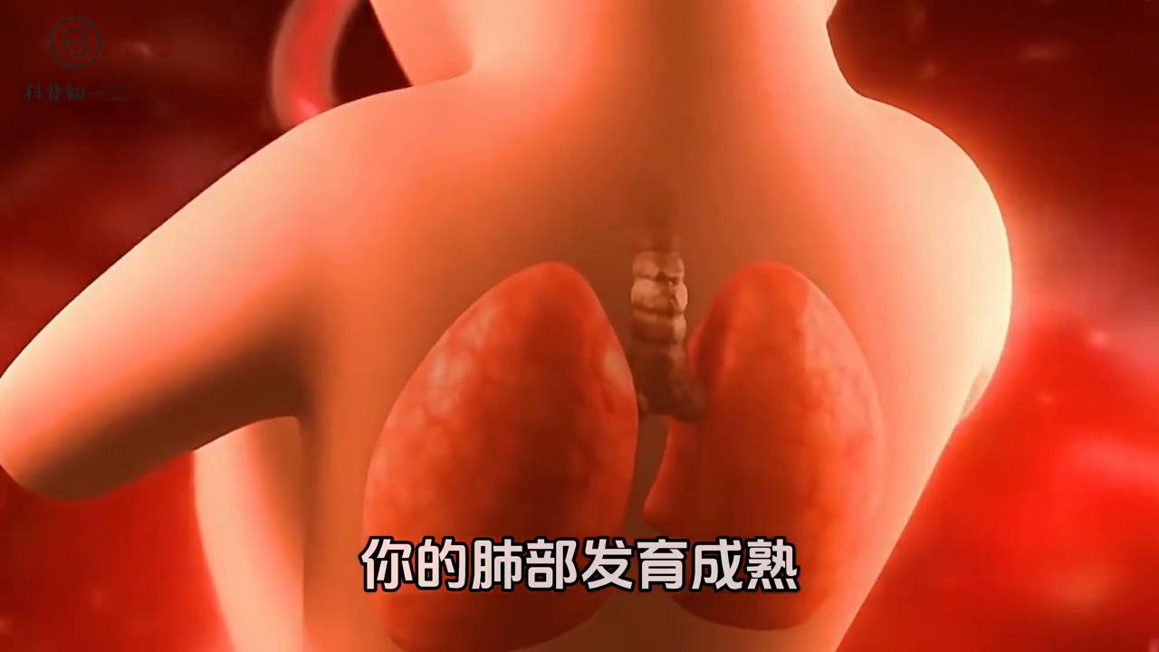 小蝌蚪蜕变成青蛙的视频,从一只小蝌蚪开始一路蜕变