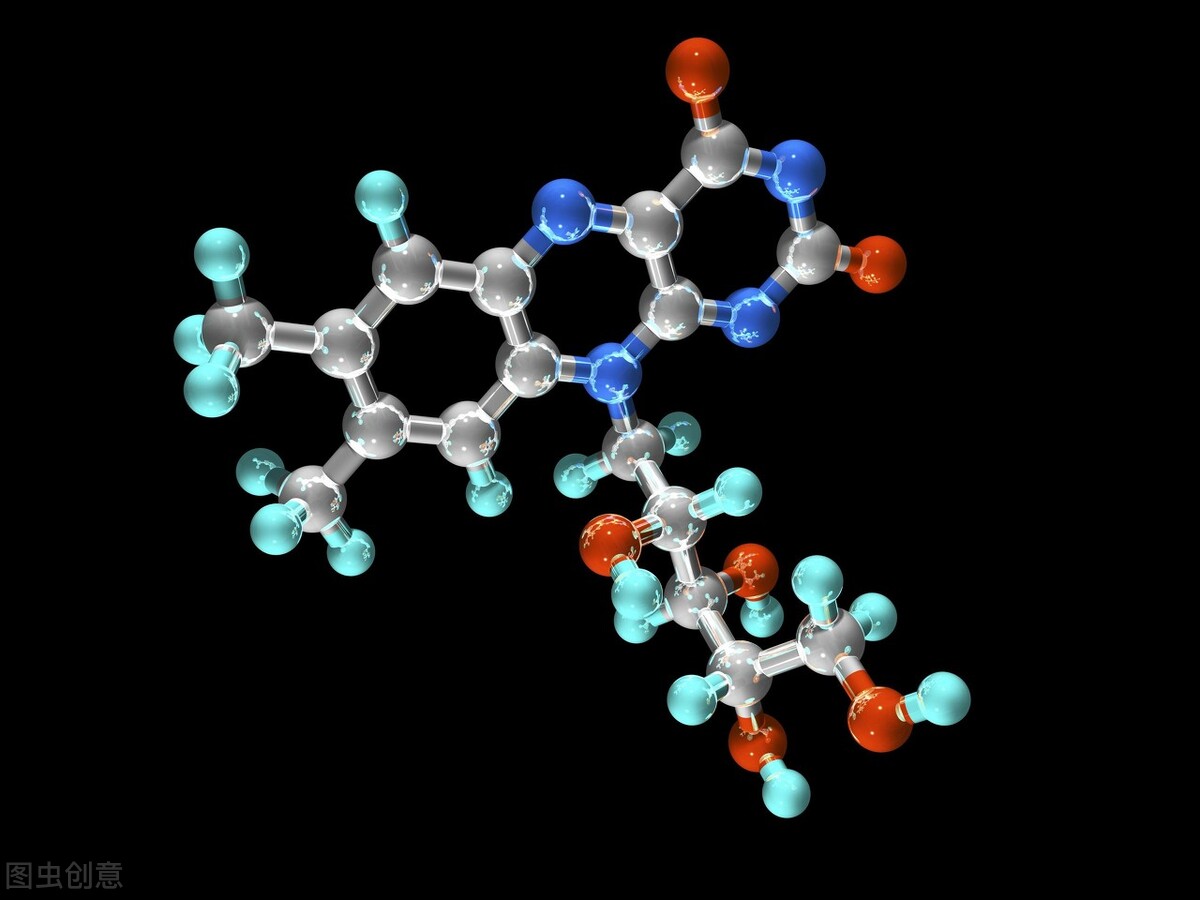 大豆油橄榄油花生油菜籽油优缺点,花生油菜籽油调和油大豆油的区别