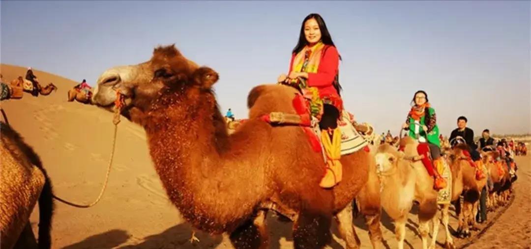 被印第安人猎杀的动物,被猎杀濒临灭绝的动物