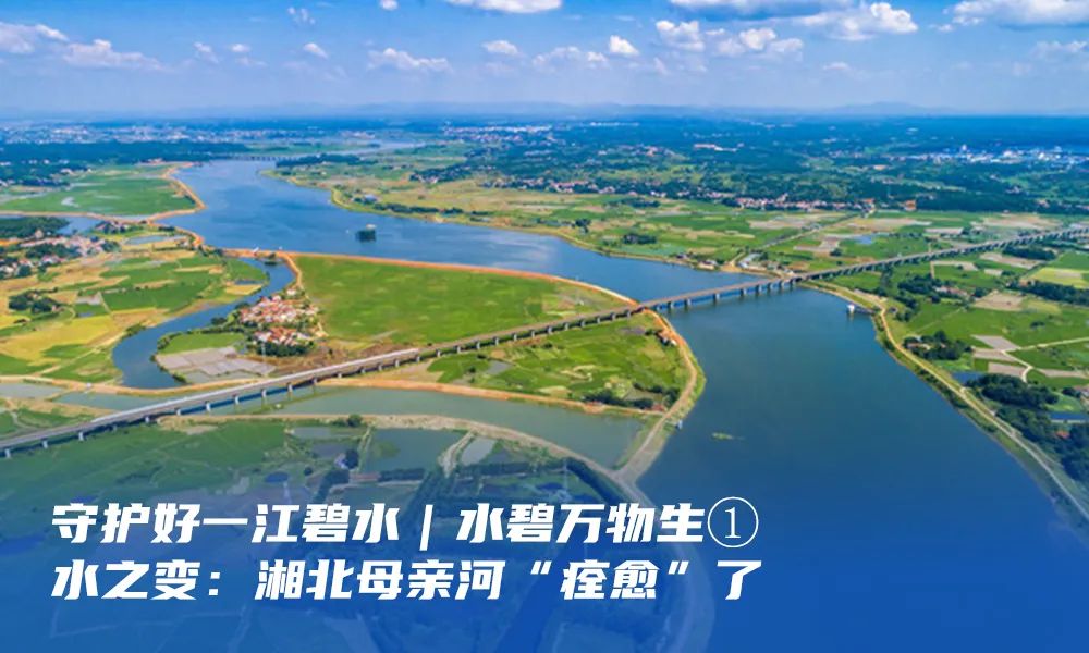 变！变！变！变！变！1.2亿人在看···