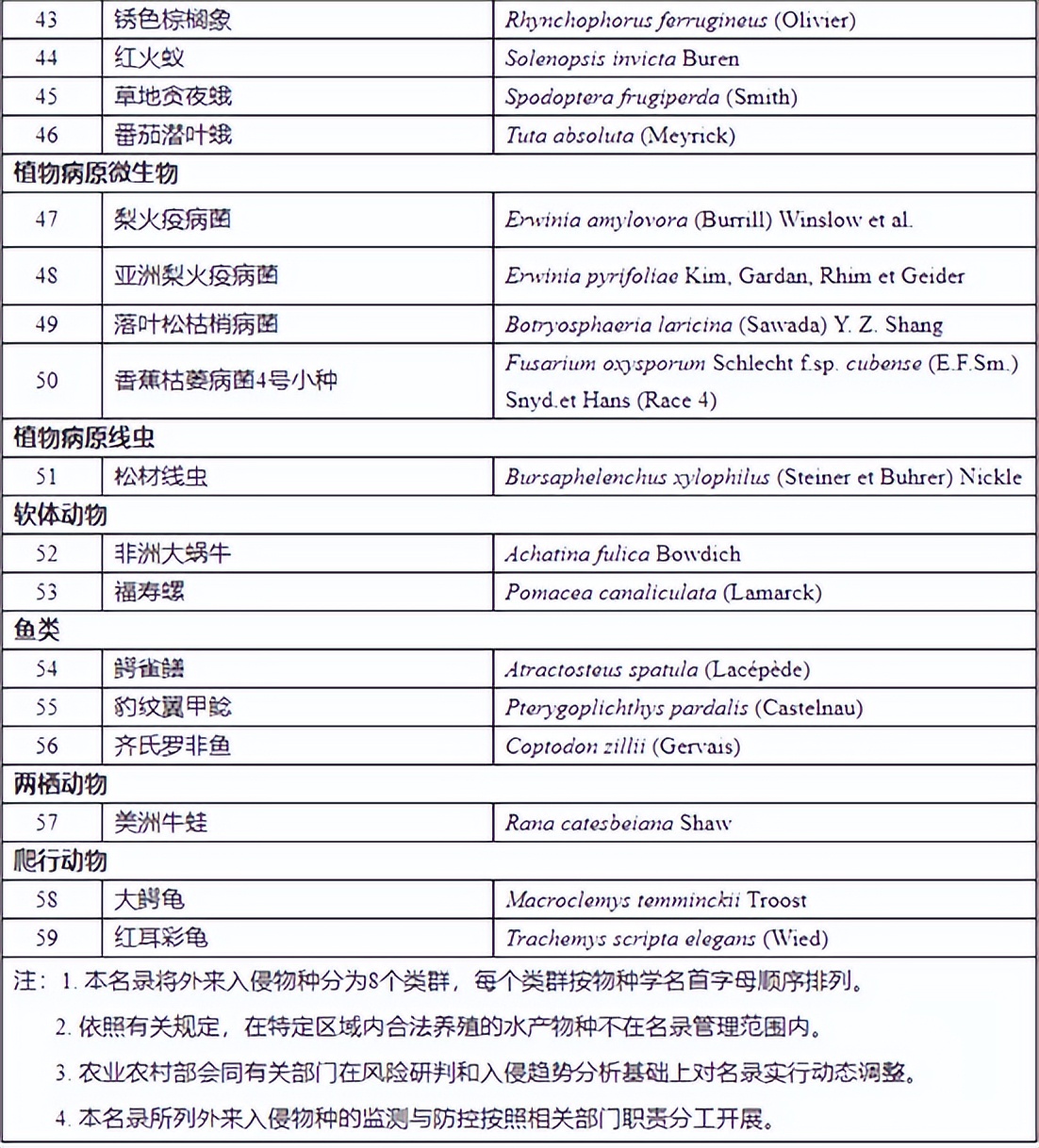 购买儿童火车票的规定,儿童火车票实行新规