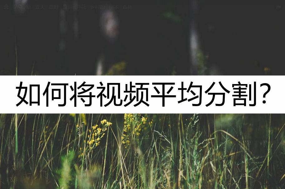 如何将视频平均分割？了解一下这种方法