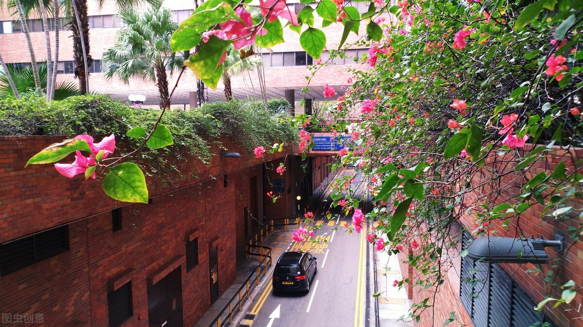 香港理工大学的硕士专业申请条件 (香港理工大学2023秋季研究生申请)