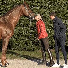 穆勒夫妇,穆勒爱情故事