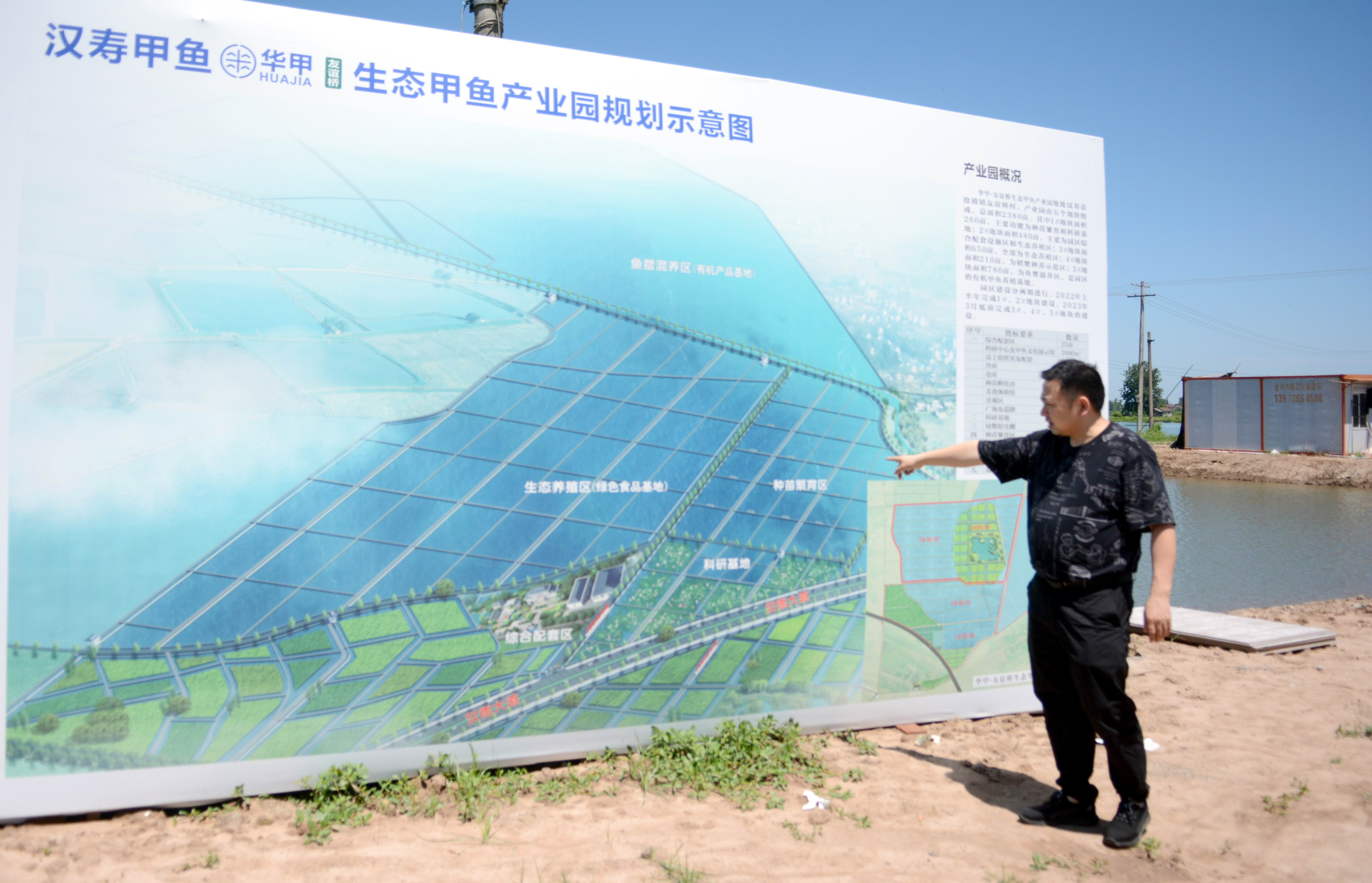 最顶级的湖南汉寿野生甲鱼,汉寿正宗外塘甲鱼