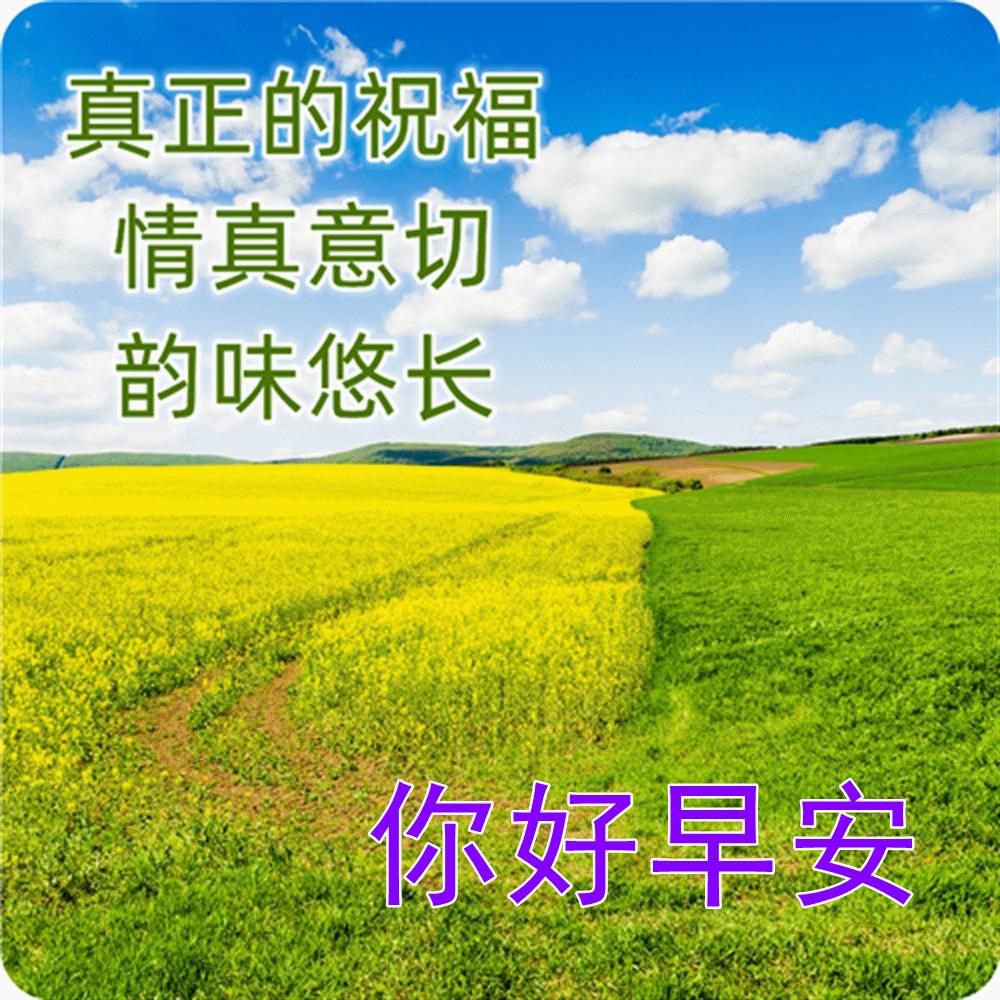 早安心语每日一语正能量句子简短,早安心语正能量早安励志精辟语录