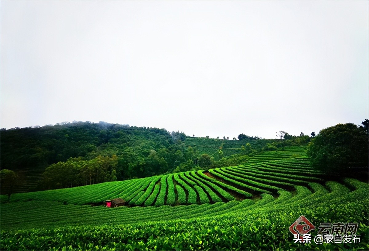 跟着音乐游云南,跟着民歌游云南
