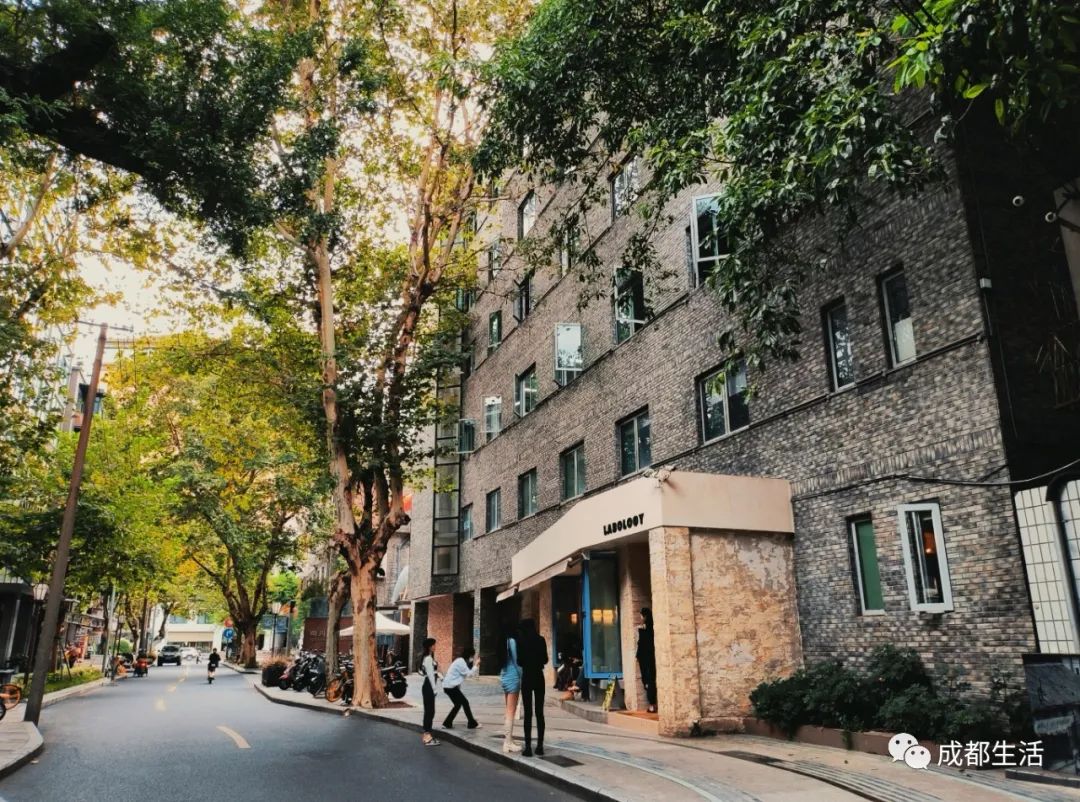 12条时髦老街，长满晒太阳的成都人