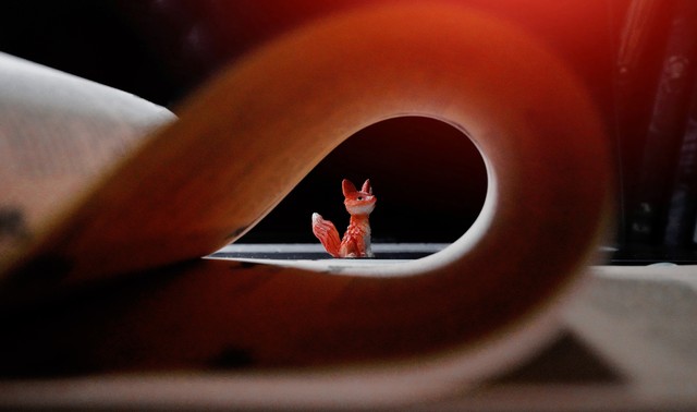 小王子狐狸教会我们什么,小王子与狐狸之间的关系