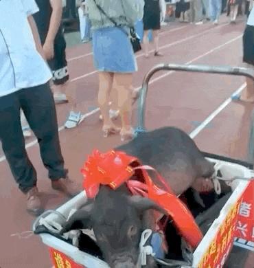 鏉戣秴鐏垎鐜板満,鏉戣秴鐏垎