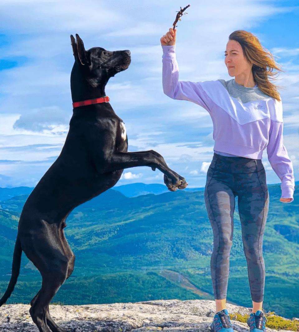 十大不建议新手养的狗,什么狗最好养又听话又便宜小型犬