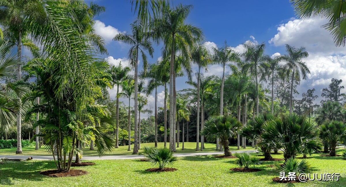 云南最值得去的八个地方,云南最值得去的七个地方