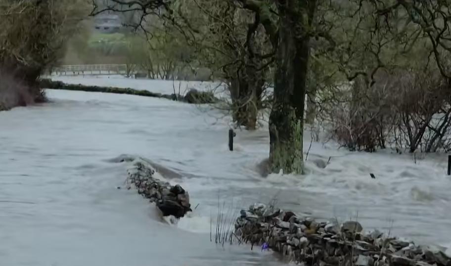 英国富豪农场纪录片,英国富豪农场主纪录片