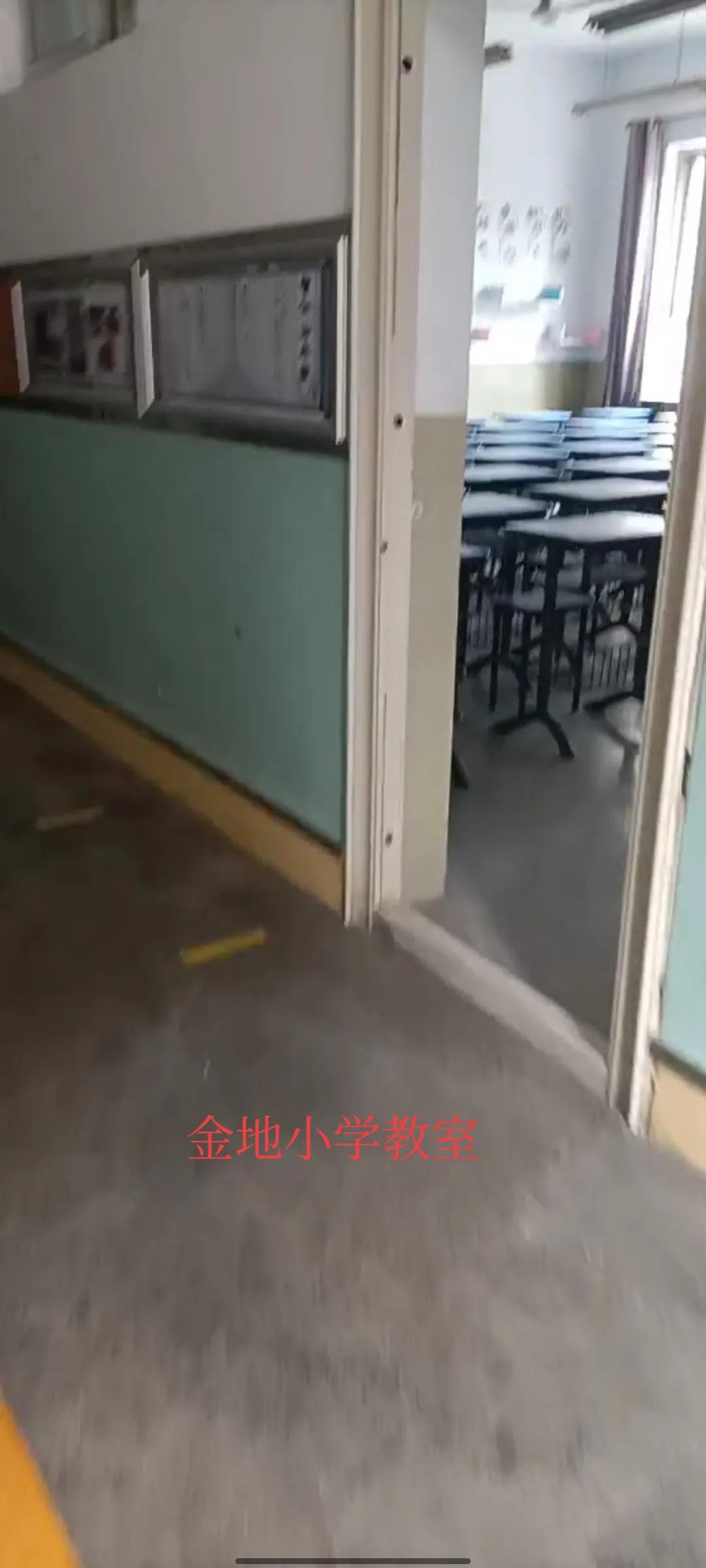 石家庄幼升小调剂学校,石家庄幼升小调剂