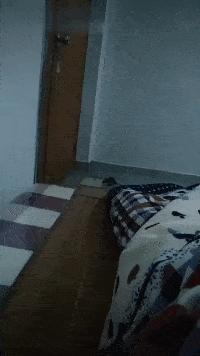 5,福利就是高清*码无**