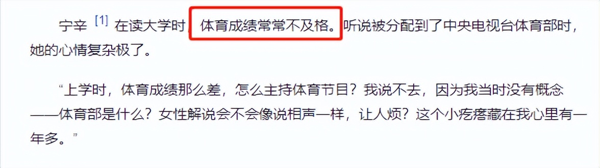 央视女主持人宁辛,主持人宁辛及丈夫近况